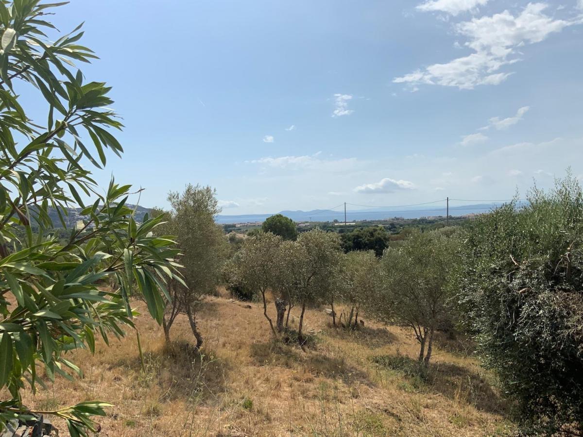 Andaluz - Spacious Natural Reserve - Sea View *